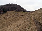 In CANTO ALTO (1146 m) da casa (Zogno, 310 m) ad anello (3mar21) - FOTOGALLERY